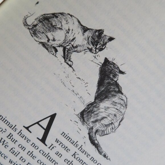 The Tribe of Tiger, Cats and Their Culture Elizabeth Marshall Thomas PB (F76) - Picture 7 of 8